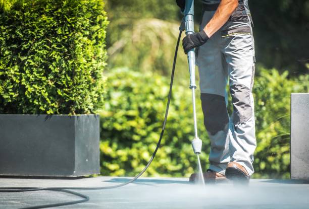 Best Spring Cleaning  in Pecatonica, IL