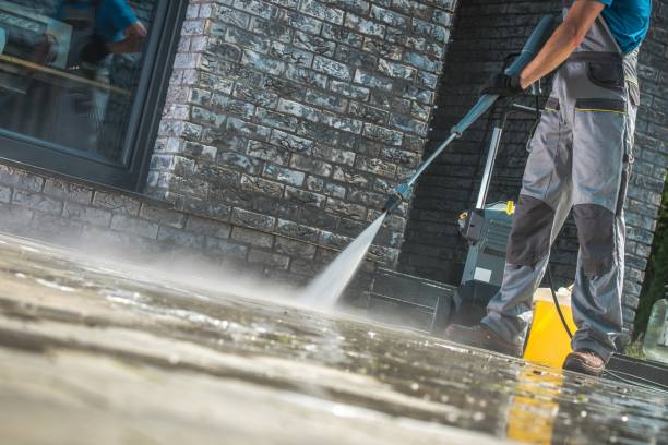 Best Roof Washing  in Pecatonica, IL
