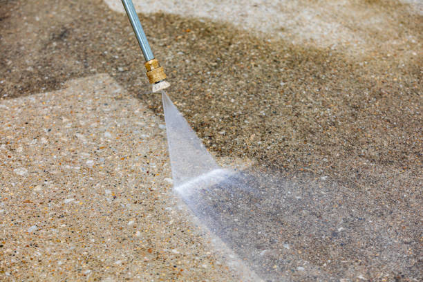 Best Rust Removal  in Pecatonica, IL