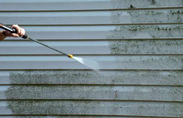 Best Parking Lot and Garage Cleaning  in Pecatonica, IL