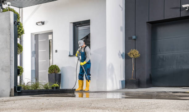 Best Gutter Cleaning  in Pecatonica, IL